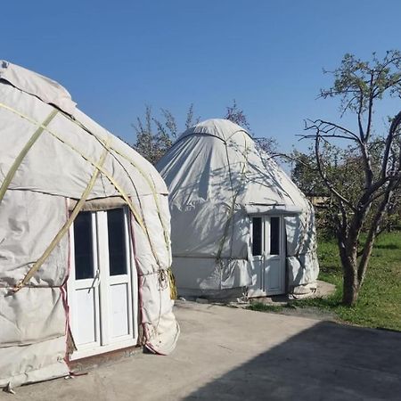 Yurt Stay In Downtown Karakol Eksteriør billede